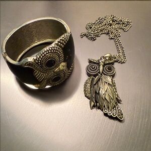 Elegant Silver and Black Owl Jewelry Set